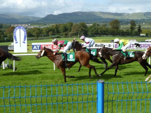 The Complete Irish Racecourses Guide